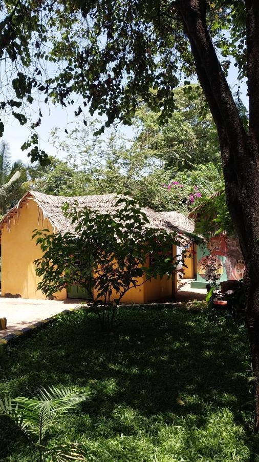 Green Garden Guest House Arusha Ngoại thất bức ảnh